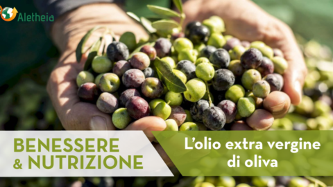 Benessere e nutrizione: perché l’olio extra vergine di oliva è un grande alleato della nostra salute